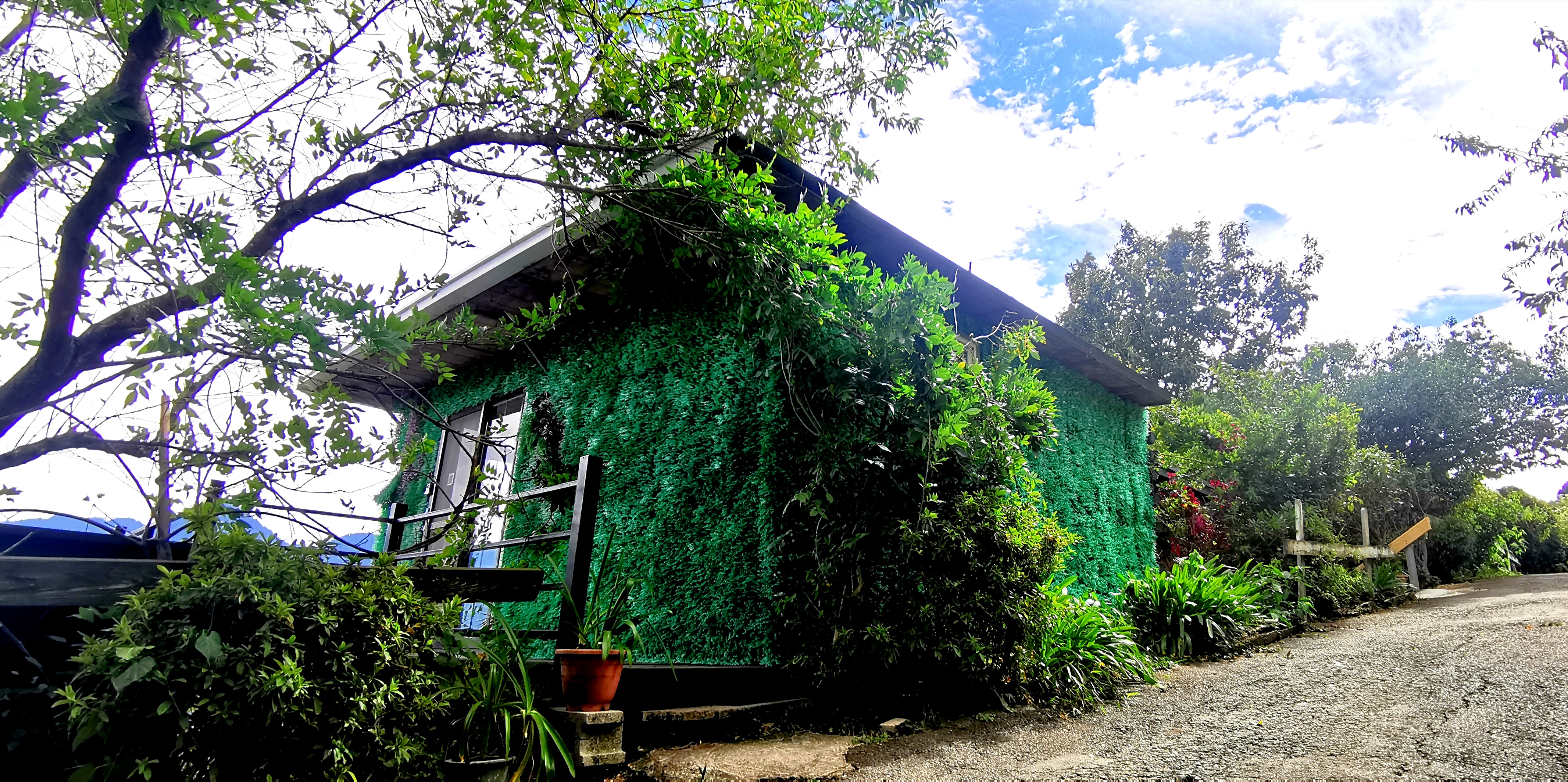 清境白熊屋民宿-獨棟景觀花屋